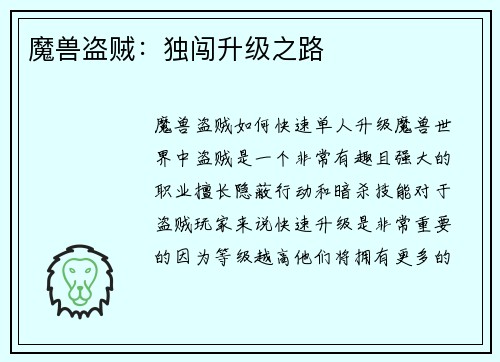 魔兽盗贼：独闯升级之路
